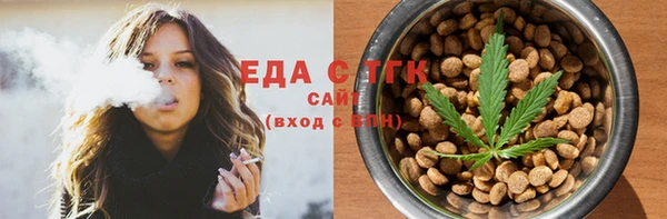 шишки Ельня