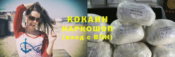 шишки Ельня