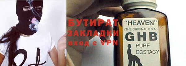 шишки Ельня