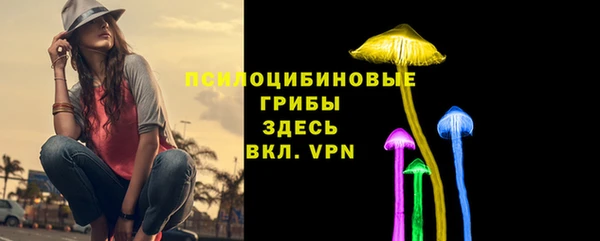 шишки Заволжье
