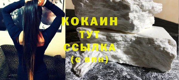 шишки Ельня