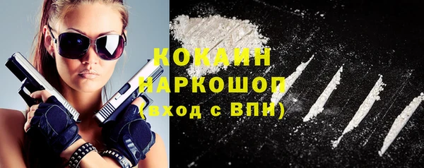 шишки Ельня