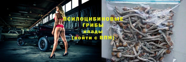 шишки Ельня