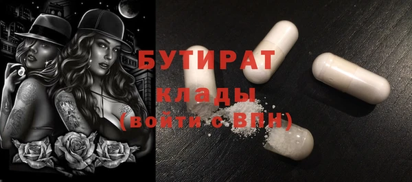 шишки Ельня