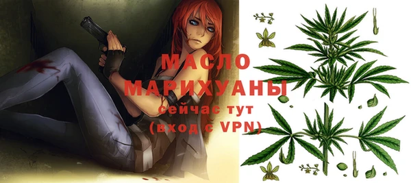 шишки Ельня