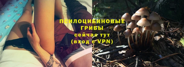 шишки Ельня